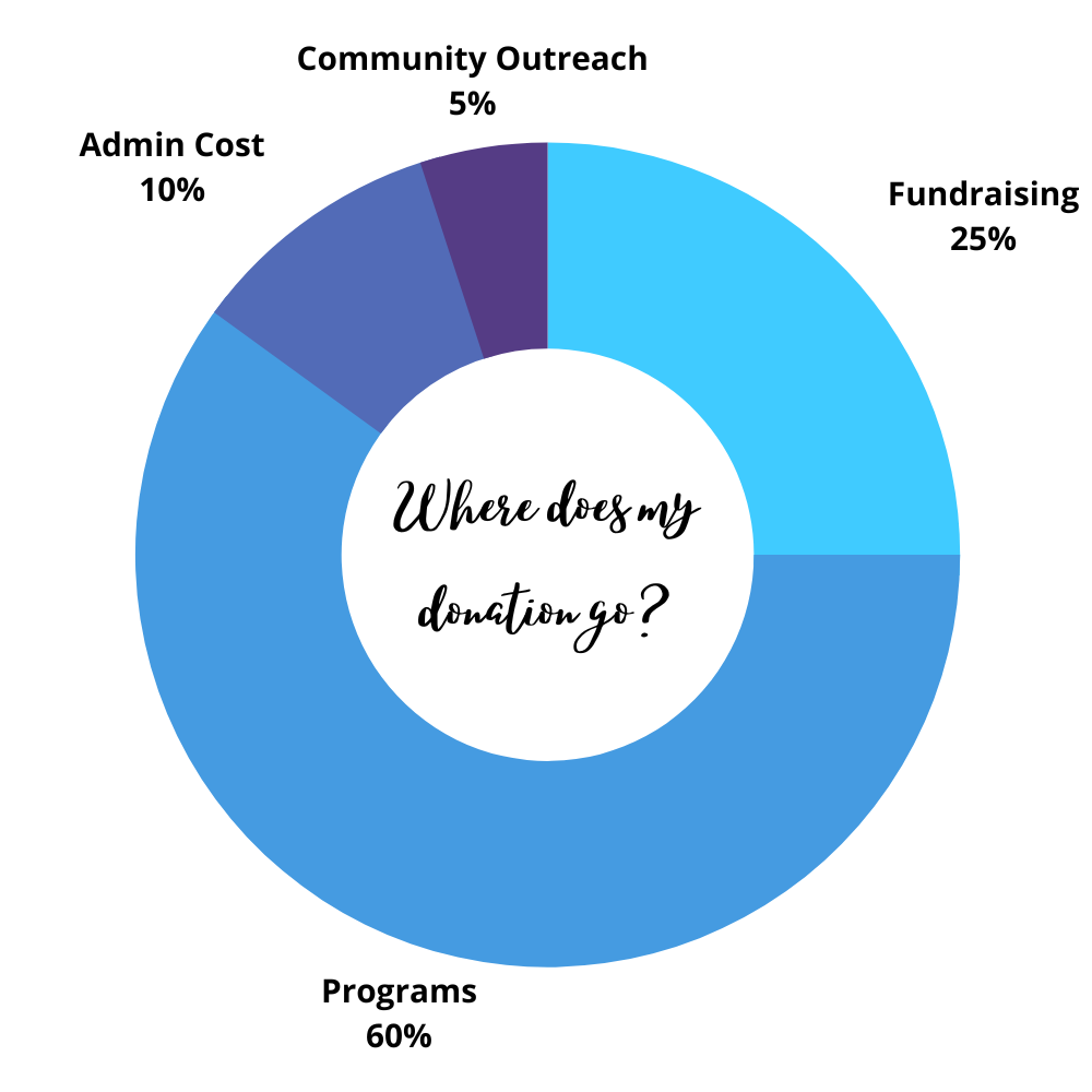 Donation Pie Chart CB2TB